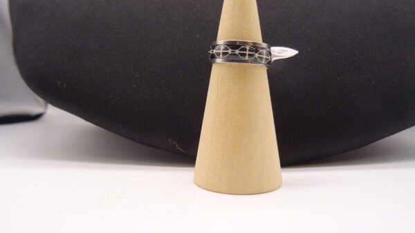 Titanium Ring