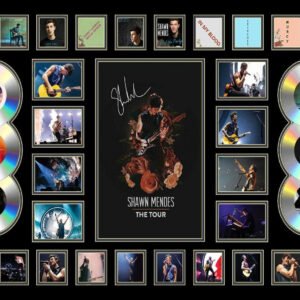 301442-SHAWN-MENDES-2019-THE-TOUR
